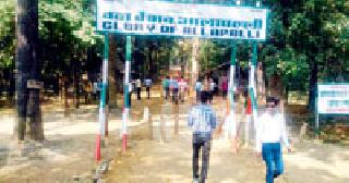 In the Sundays of Mumbai, Gadchiroli of Pune, on Tuesday | सुट्यांमध्ये मुंबई, पुणेकरांची गडचिरोलीत जंगलवारी