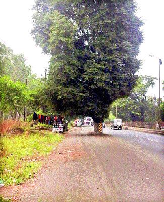 Nashik-Pune highway is dangerous | नाशिक-पुणे महामार्ग धोकादायक Nashik-Pune highway is dangerous | नाशिक-पुणे महामार्ग धोकादायक