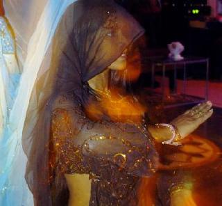 Let the dance bars get licenses - the Supreme Court's state government cracks down | डान्स बार्सना परवाने द्या - सुप्रीम कोर्टाची राज्य सरकारला तंबी Let the dance bars get licenses - the Supreme Court's state government cracks down | डान्स बार्सना परवाने द्या - सुप्रीम कोर्टाची राज्य सरकारला तंबी