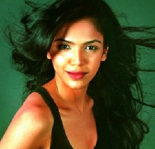 Shree's Debut in the upcoming film fan | आगामी चित्रपट फॅनमध्ये श्रीयाचा डेब्यू