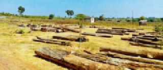 Hundreds of forest areas become desert land | वनविभागाच्या शेकडो हेक्टर जमिनीचे झाले वाळवंट Hundreds of forest areas become desert land | वनविभागाच्या शेकडो हेक्टर जमिनीचे झाले वाळवंट