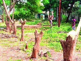 Awakened citizens prevent tree trunks | जागरूक नागरिकांनी वृक्षतोड रोखली Awakened citizens prevent tree trunks | जागरूक नागरिकांनी वृक्षतोड रोखली