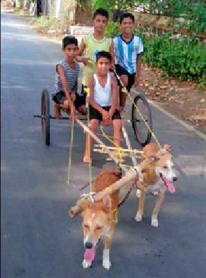 Swanaratha ... | श्वानरथ...