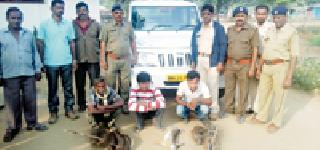 Three accused of hunting rabbits caught in a tinkle | सशांची शिकार करणाऱ्या तीन आरोपींना रंगेहात पकडले Three accused of hunting rabbits caught in a tinkle | सशांची शिकार करणाऱ्या तीन आरोपींना रंगेहात पकडले