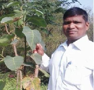 Avalia refraining from suicide | आत्महत्येपासून परावृत्त करणारा अवलिया