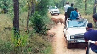 Such a system of money laundering | कऱ्हांडल्यात नियमांची ऐसीतैसी