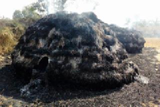 Dump rack of two places | दोन ठिकाणचे धानाचे पुंजणे खाक