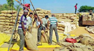 Arrivals increased: | धानाची आवक वाढली :