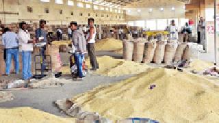 Soybean Shot: | सोयाबीनला फटका :