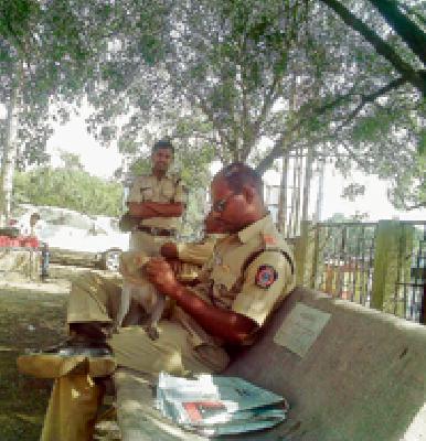 Wicked Maya! | मुक्या प्राण्याची वेडी माया! Wicked Maya! | मुक्या प्राण्याची वेडी माया!