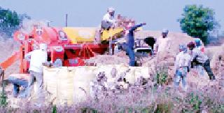 Paddy crushing started loud | धान मळणी जोरात सुरु