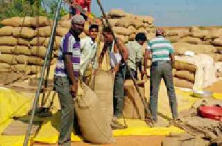 Electronic Weightlifting 'Lose' in Market Committee | इलेक्ट्रॉनिक वजनकाट्यांना बाजार समितीत ‘खो’ Electronic Weightlifting 'Lose' in Market Committee | इलेक्ट्रॉनिक वजनकाट्यांना बाजार समितीत ‘खो’