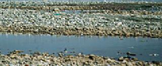 Only 20% of water stock in 63 projects | ६३ प्रकल्पांत केवळ २० टक्के जलसाठा