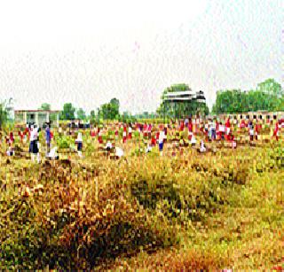 Avalia for tree conservation! | वृक्षसंवर्धनासाठी झटतोय अवलिया!