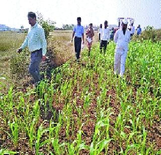 Chakan fight for 'emancipation' | चाकणला ‘जमीनमुक्ती’साठी लढा!