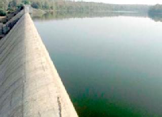 Arvan is the only water that will be irrigated for a month! | आर्वीत महिनाभर सिंचन होईल एवढेच पाणी!