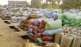 Withdrawal also increased the number of arrivals | दर घटूनही धानाची आवक वाढली