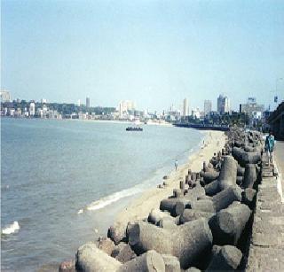 Deadly Bouquet! | जीवघेण्या चौपाट्या! Deadly Bouquet! | जीवघेण्या चौपाट्या!