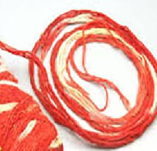 The thread left the woman's stomach during surgery | शस्त्रक्रियेदरम्यान महिलेच्या पोटात राहिला धागा The thread left the woman's stomach during surgery | शस्त्रक्रियेदरम्यान महिलेच्या पोटात राहिला धागा