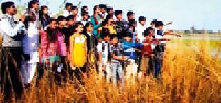 Various varieties of birds found in Sakoli | साकोलीत पक्षिगणनेत आढळले विविध जातीचे पक्षी