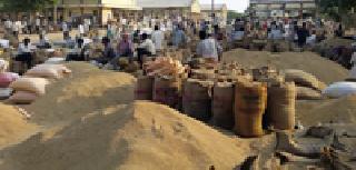 Plunder at the Paddy Purchase Center | धान खरेदी केंद्रावर लूट