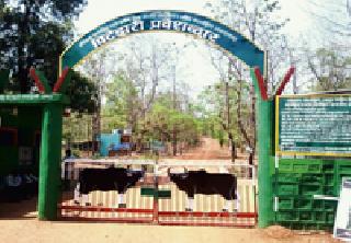 Tiger reserves from three districts | तीन जिल्ह्यातून व्याघ्र प्रकल्पाचा कारभार