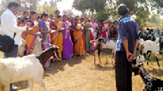 Visit to the Wildlife Feeding Center of the watershed committee | पाणलोट समितीची शेळी पालन केंद्राला भेट