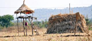 Our soil Our people: | आमची माती आमची माणसं :