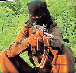 61 Maoists stop captive in villages | ६१ गावांत करणार नक्षल्यांना बंदी