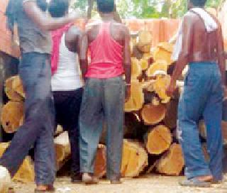 80 lakh smugglers smuggled | ८० लाखांची सागवान तस्करी