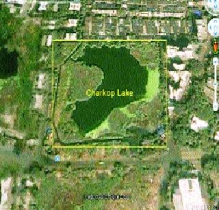 Ghat to develop wetlands | पाणथळ जागा विकसित करण्याचा घाट