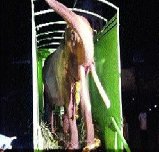 'Ramprasad' from Karhad to Mathura for treatment! | कऱ्हाड येथील ‘रामप्रसाद’ उपचारासाठी मथुरेला रवाना! 'Ramprasad' from Karhad to Mathura for treatment! | कऱ्हाड येथील ‘रामप्रसाद’ उपचारासाठी मथुरेला रवाना!