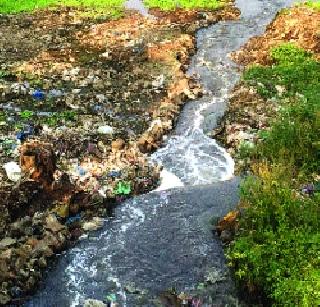 Health question arises due to Ulhasanadi | उल्हासनदीमुळे आरोग्याचा प्रश्न ऐरणीवर