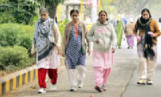 Cold sea ... Hoodhog is full | शीतलहर... हुडहुडी भरली