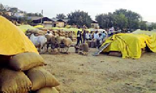 Denial of work to Mathadi workers | माथाडी कामगारांना काम देण्यास नकार