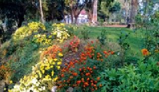 The garden flourished with Coca-Forest Department for tourism | पर्यटनवाढीसाठी कोका वनविभागाने फुलविला बगिचा