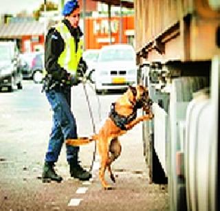 Europe high alert on New Year | नववर्षानिमित्त युरोपात हाय अलर्ट Europe high alert on New Year | नववर्षानिमित्त युरोपात हाय अलर्ट