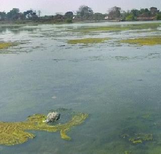 Farmer became a builder! | बिल्डर झाले शेतकरी !