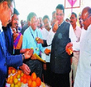 Assurance to increase investment for stability in agriculture | शेतीला स्थैर्य देण्यासाठी गुंतवणूक वाढविण्याचे आश्वासन Assurance to increase investment for stability in agriculture | शेतीला स्थैर्य देण्यासाठी गुंतवणूक वाढविण्याचे आश्वासन