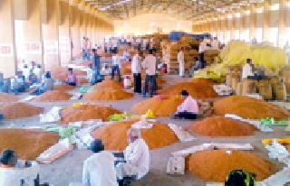 Businessman's arbitrariness in the Yavatmal market committee | यवतमाळ बाजार समितीत व्यापाऱ्याची मनमानी Businessman's arbitrariness in the Yavatmal market committee | यवतमाळ बाजार समितीत व्यापाऱ्याची मनमानी