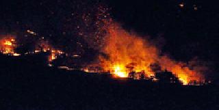 Half a kilometer of forest burns | अर्धा किलोमीटरचे जंगल जळून खाक Half a kilometer of forest burns | अर्धा किलोमीटरचे जंगल जळून खाक