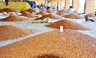 Buy directly from Nafed | नाफेडकडून तुरीची थेट खरेदी Buy directly from Nafed | नाफेडकडून तुरीची थेट खरेदी