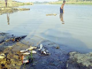 This is also the mass suicide of the Masalsals | ही तर मासोळ्यांची सामूहिक आत्महत्याच