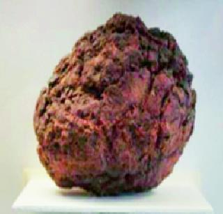 An old meteorite was discovered more than Earth | पृथ्वीपेक्षाही जुनी उल्का सापडली