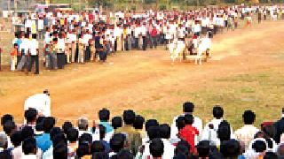 Shankarpatta's donation will be gigantic | शंकरपटाची दान गजबजणार