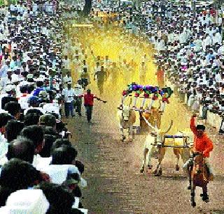 The ban on Shankarpatta lifted the government | शंकरपटावरील बंदी सरकारने उठवली