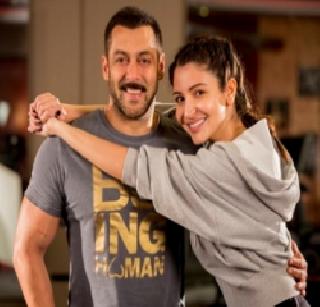 Anushka will become the 'Sultan of Hirone' | अनुष्का बनणार 'सुलतान'ची हिरॉईन Anushka will become the 'Sultan of Hirone' | अनुष्का बनणार 'सुलतान'ची हिरॉईन