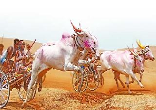 Big junk! | मोठाईकीची झिंग! Big junk! | मोठाईकीची झिंग!