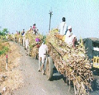Thousands of laborers from Buldhana district | बुलडाणा जिल्ह्यातून हजारो मजूर परराज्यात Thousands of laborers from Buldhana district | बुलडाणा जिल्ह्यातून हजारो मजूर परराज्यात