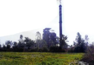 Agricultural land degradation due to chemical water | रसायनयुक्त पाण्यामुळे शेतजमीन निकामी